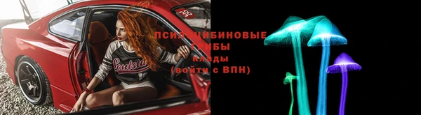 spice Кодинск